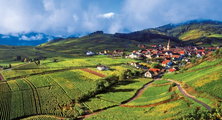 3 Camps im Elsass 3 Camps im Elsass