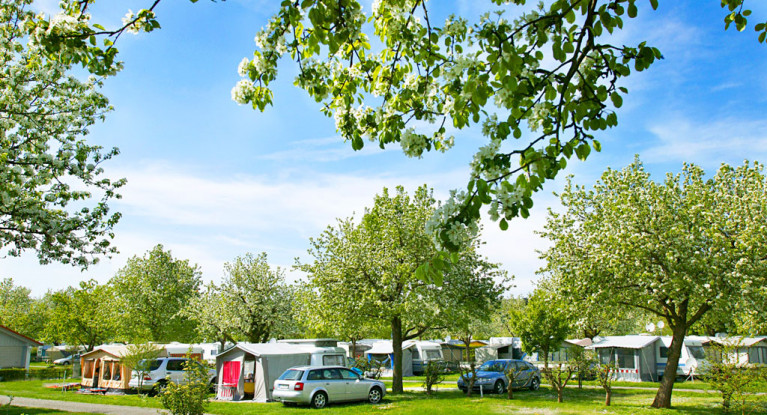Campingplatz-Tipp: Camping Wirthshof in Markdorf Campingplatz-Tipp: Camping Wirthshof in Markdorf