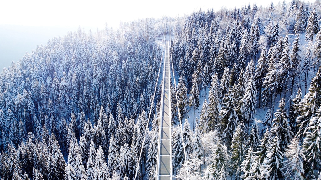 Winterurlaub in den Alpen: Nördlicher Schwarzwald